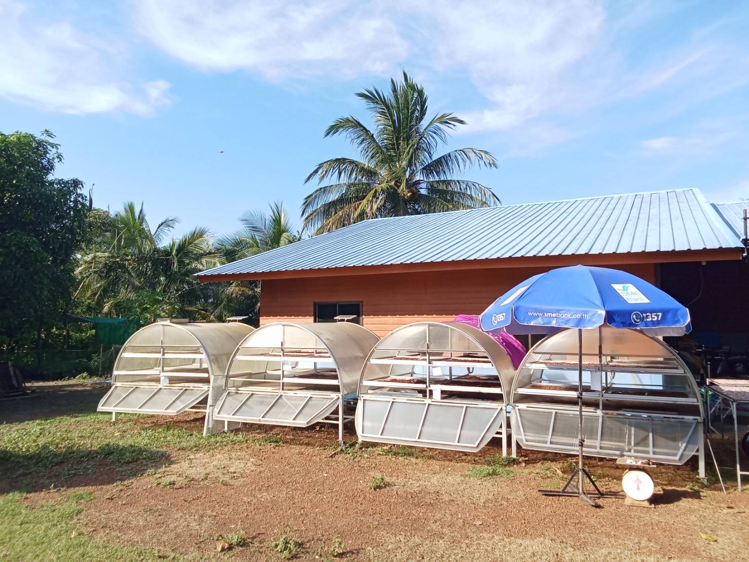 Cacao leather products